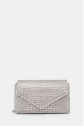 ALDO BLINGITA Silver Women's Clutch