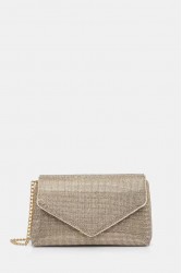 ALDO BLINGITA Gold Women's Clutch