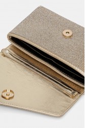 ALDO BLINGITA Gold Women's Clutch
