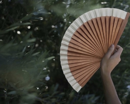 A FAN OF