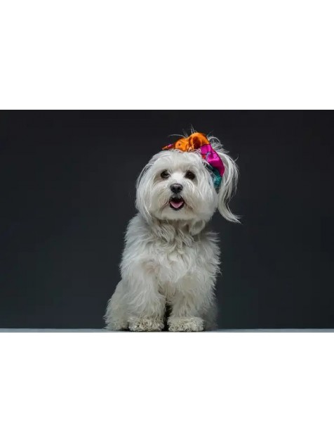EMMANUELLE SILK Vivid scrunchy