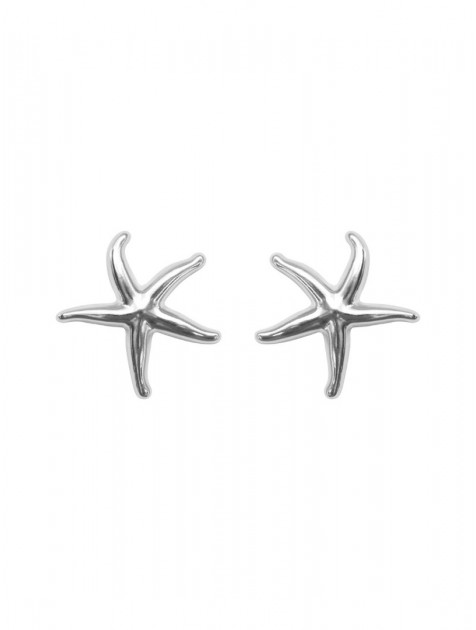 KALEIDO ESTRELLA Earrings Σκουλαρίκια από ορείχαλκο επαργυρωμένα