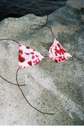 STUDIO 83 Animal Berrie Bikini