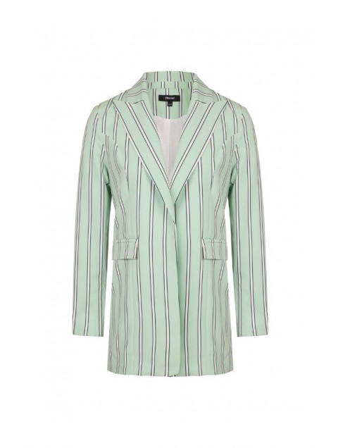 TRILOGY CLOTHING Pistachio Blazer With Stripes