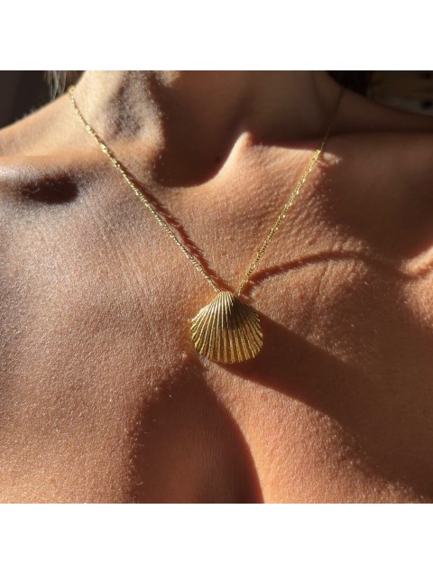 ZÉNAÏS Shell Necklace Κολιέ από Επιχρυσωμένο Ασήμι 925