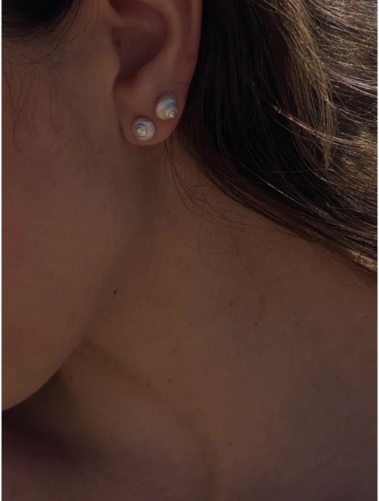 ZÉNAÏS Nautilus Mini Earrings Σκουλαρίκια Από Ασήμι 925