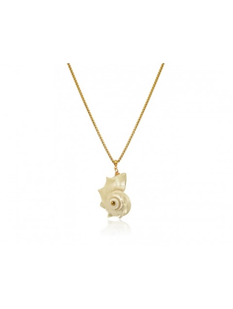 MÉRBABE Odele Necklace Gold Plated Stainless Steel Επίχρυσωμένο Ατσάλινο Κολιέ με Κοχύλι